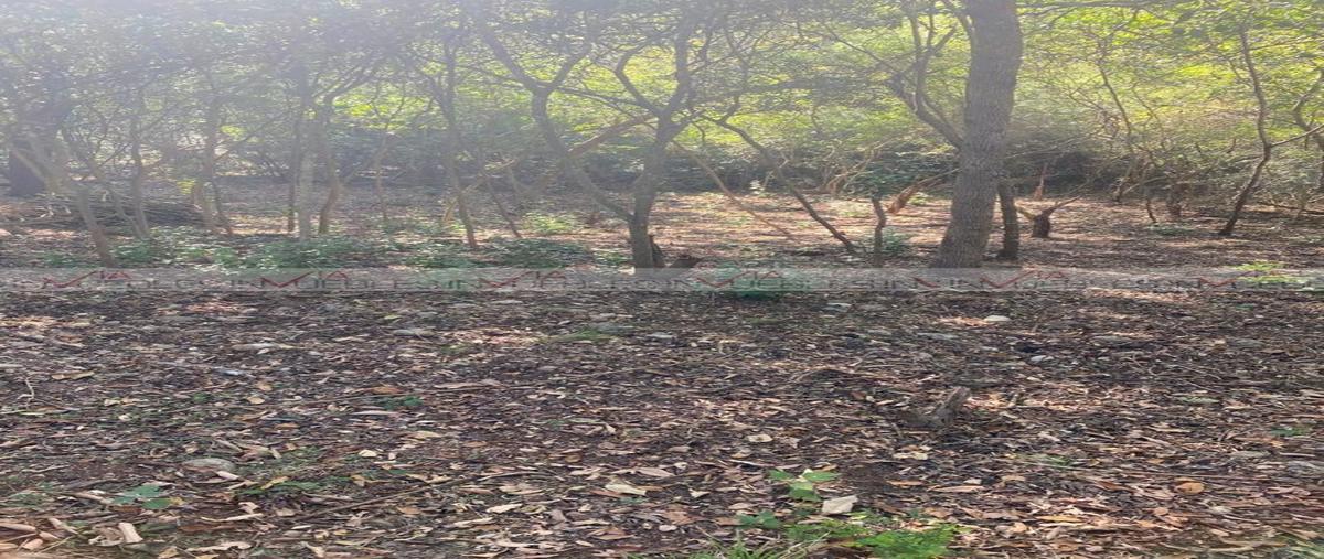 Foto de terreno habitacional en venta en el pastor , el pastor, montemorelos, nuevo león, 0 No. 04