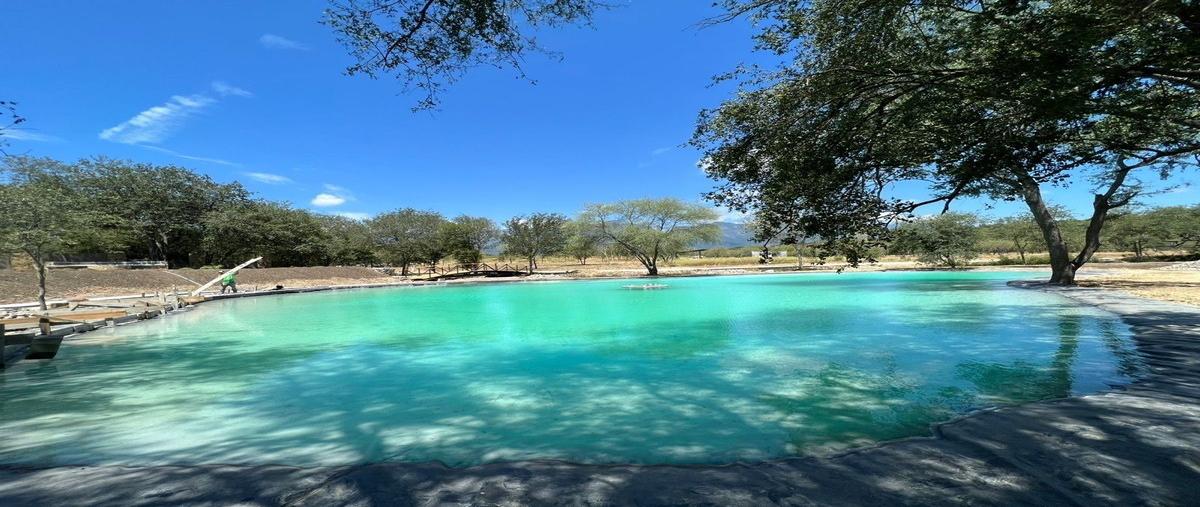 Foto de terreno habitacional en venta en  , el pastor, montemorelos, nuevo león, 26701302 No. 05