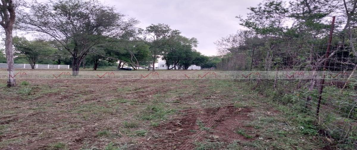 Foto de rancho en , el pastor, montemorelos, nuevo león, 26961827 foto 02 Foto de rancho en venta en , el pastor, montemorelos, nuevo león, 26961827 No. 02