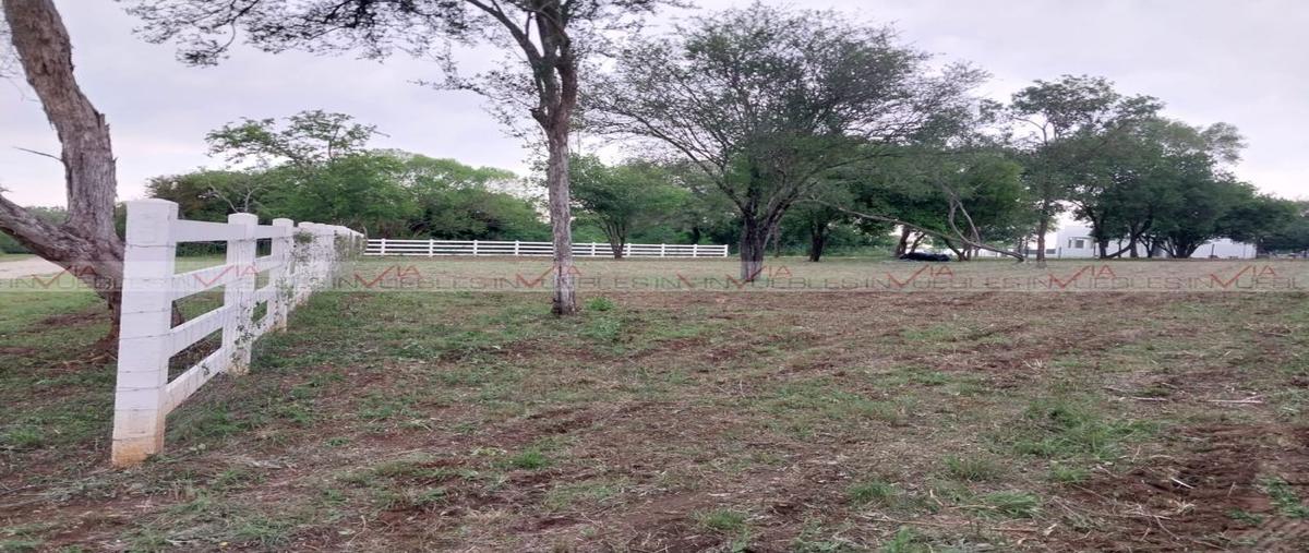 Foto de rancho en , el pastor, montemorelos, nuevo león, 26961827 foto 03 Foto de rancho en venta en , el pastor, montemorelos, nuevo león, 26961827 No. 03