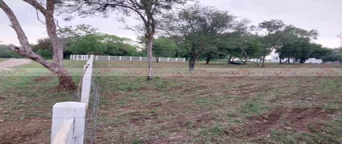 Foto de rancho en , el pastor, montemorelos, nuevo león, 26961827 foto 04 Foto de rancho en venta en , el pastor, montemorelos, nuevo león, 26961827 No. 04