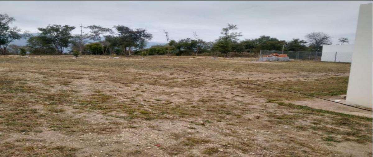 Foto de casa en venta en  , el pastor, montemorelos, nuevo león, 0 No. 03