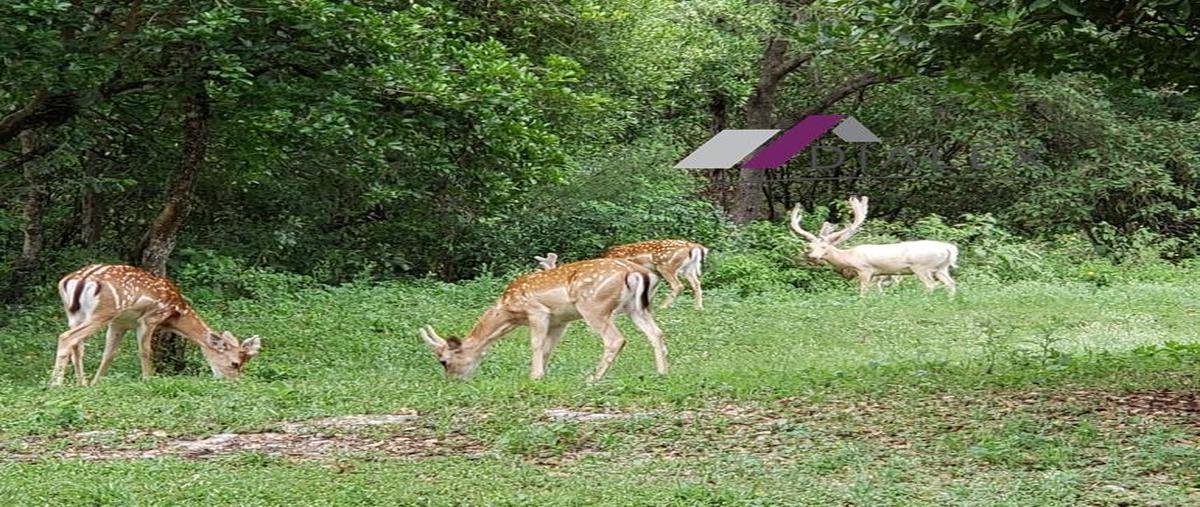 Foto de terreno habitacional en venta en  , el pastor, montemorelos, nuevo león, 0 No. 03