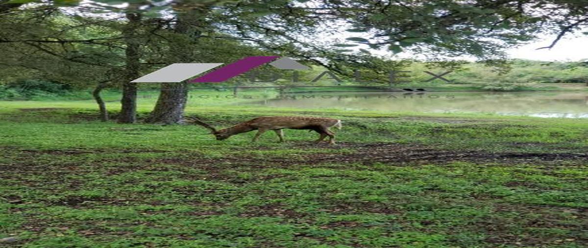 Foto de terreno habitacional en venta en  , el pastor, montemorelos, nuevo león, 0 No. 04