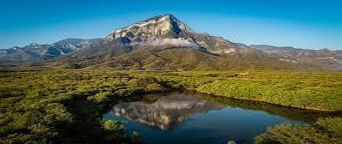 Foto de terreno habitacional en venta en  , el pastor, montemorelos, nuevo león, 30209245 No. 03