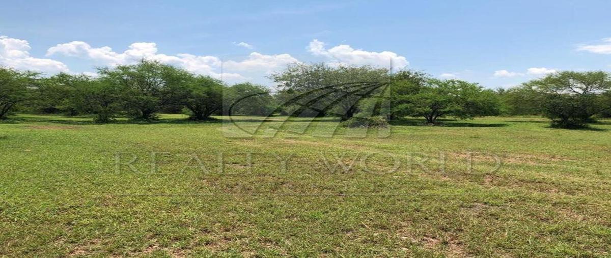 Foto de terreno habitacional en venta en  , el pastor, montemorelos, nuevo león, 31026414 No. 05