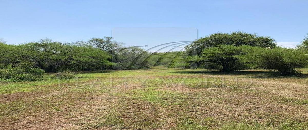 Foto de terreno habitacional en venta en  , el pastor, montemorelos, nuevo león, 31026415 No. 03