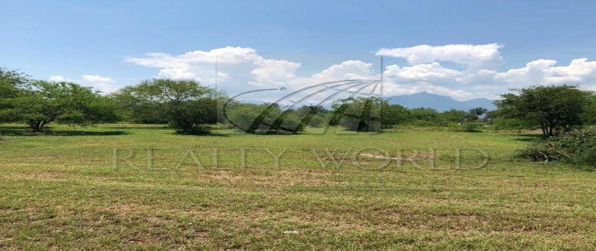 Foto de terreno habitacional en venta en  , el pastor, montemorelos, nuevo león, 31026415 No. 04