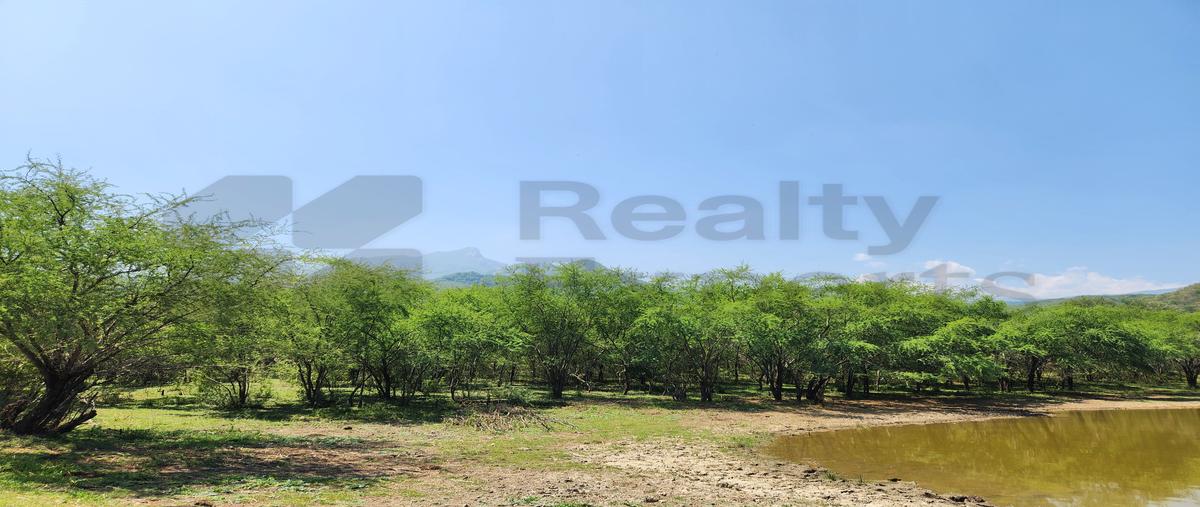 Foto de rancho en , el pastor, montemorelos, nuevo león, 31482052 foto 04 Foto de rancho en venta en , el pastor, montemorelos, nuevo león, 31482052 No. 04