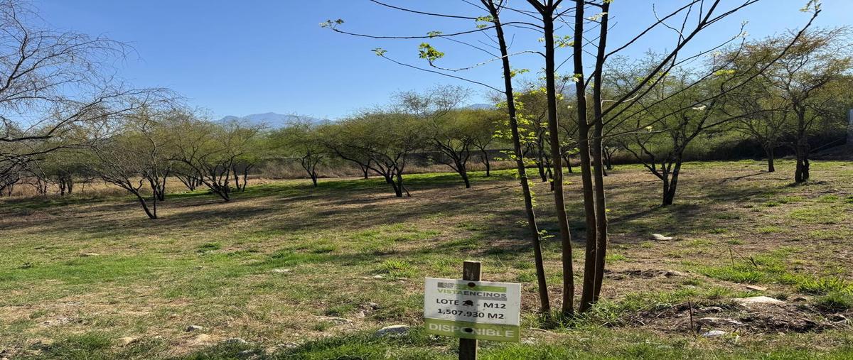 Foto de terreno habitacional en venta en  , el pastor, montemorelos, nuevo león, 0 No. 03