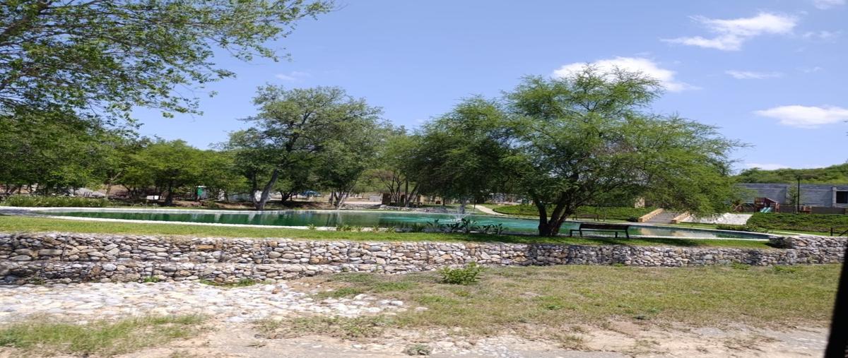 Foto de terreno habitacional en venta en  , el pastor, montemorelos, nuevo león, 0 No. 03