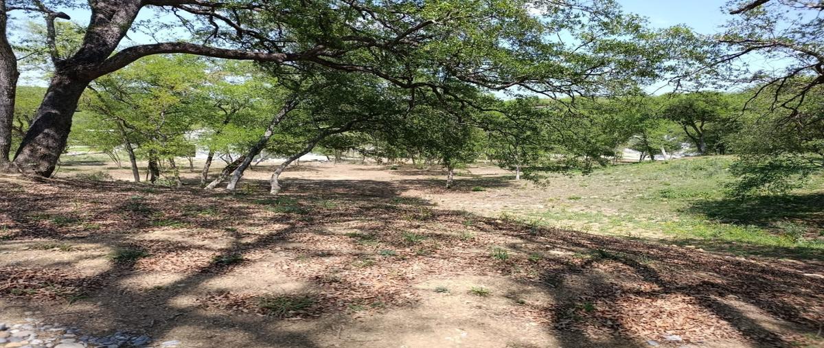 Foto de terreno habitacional en venta en  , el pastor, montemorelos, nuevo león, 0 No. 04