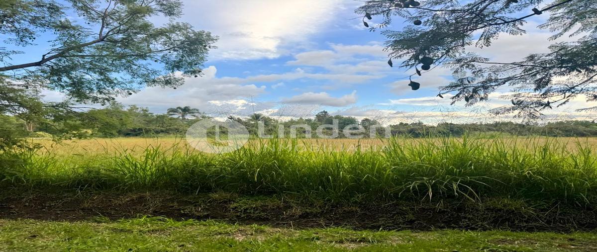 Foto de terreno habitacional en venta en  , el pedregal, atlixco, puebla, 22816939 No. 03
