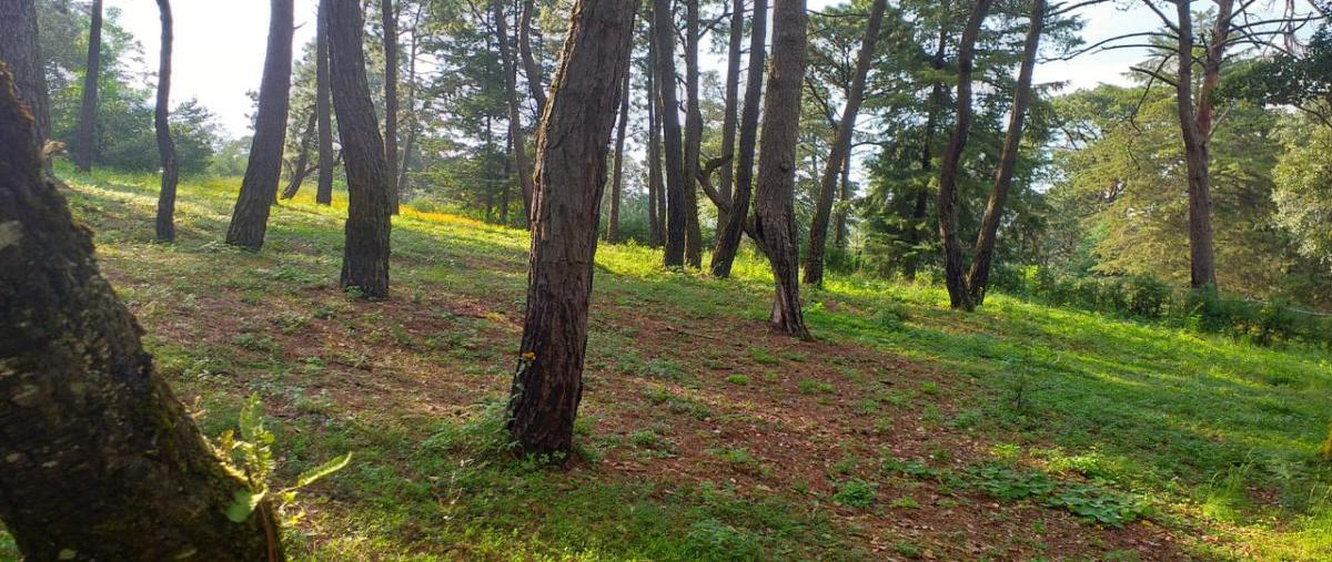Foto de terreno habitacional en venta en el pedregal , avándaro, valle de bravo, méxico, 23283434 No. 03
