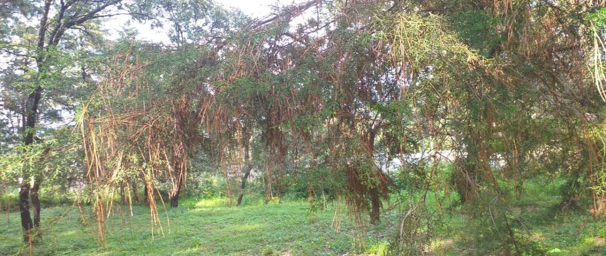 Foto de terreno habitacional en venta en el pedregal , avándaro, valle de bravo, méxico, 23283434 No. 05
