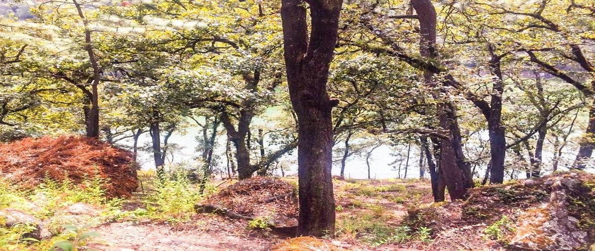 Foto de terreno habitacional en venta en el pedregal , avándaro, valle de bravo, méxico, 25139228 No. 03