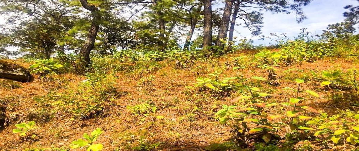 Foto de terreno habitacional en venta en el pedregal , avándaro, valle de bravo, méxico, 25139228 No. 04