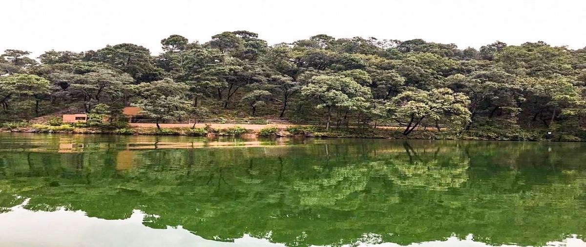 Foto de terreno habitacional en venta en el pedregal , avándaro, valle de bravo, méxico, 25139228 No. 05