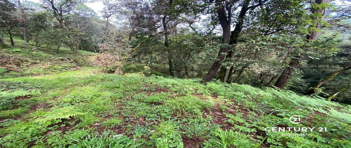 Foto de terreno habitacional en venta en el pedregal , avándaro, valle de bravo, méxico, 0 No. 03
