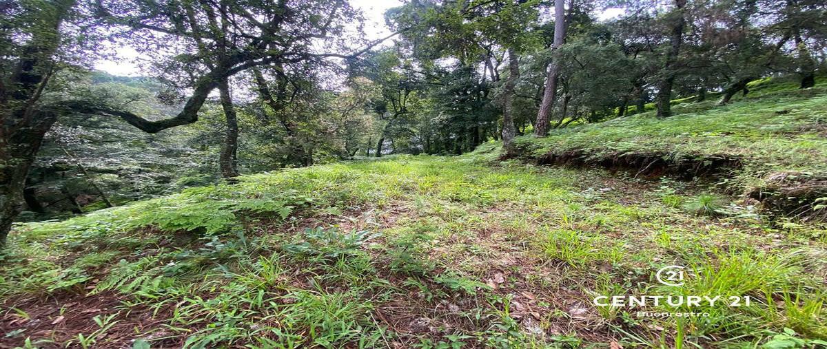 Foto de terreno habitacional en venta en el pedregal , avándaro, valle de bravo, méxico, 0 No. 04
