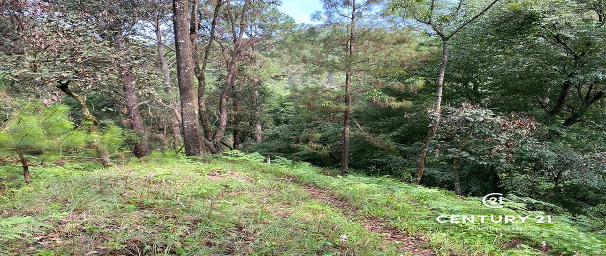Foto de terreno habitacional en venta en el pedregal , avándaro, valle de bravo, méxico, 0 No. 05