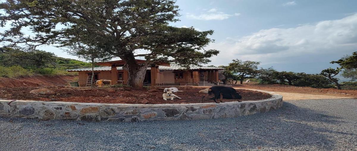 Foto de casa en venta en el pedregoso 1, hermenegildo galeana, morelia, michoacán de ocampo, 30154143 No. 03