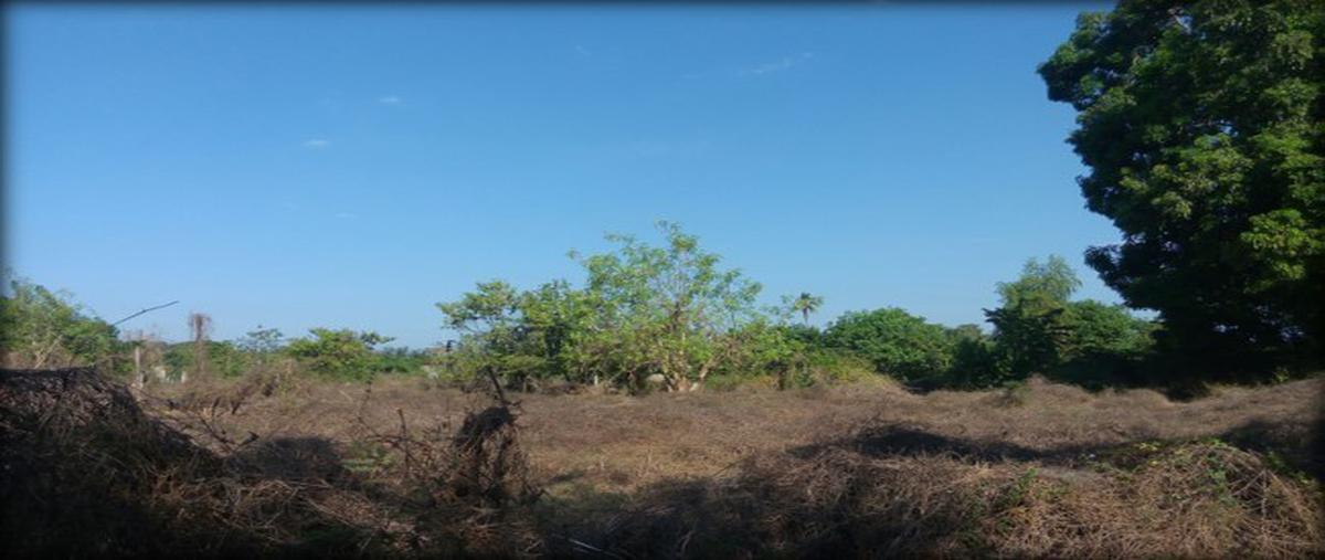 Foto de terreno habitacional en venta en  , el pedregoso, acapulco de juárez, guerrero, 11009915 No. 02