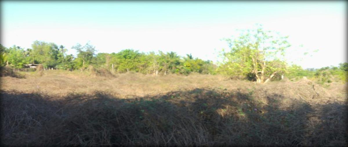 Foto de terreno habitacional en venta en  , el pedregoso, acapulco de juárez, guerrero, 11009915 No. 03