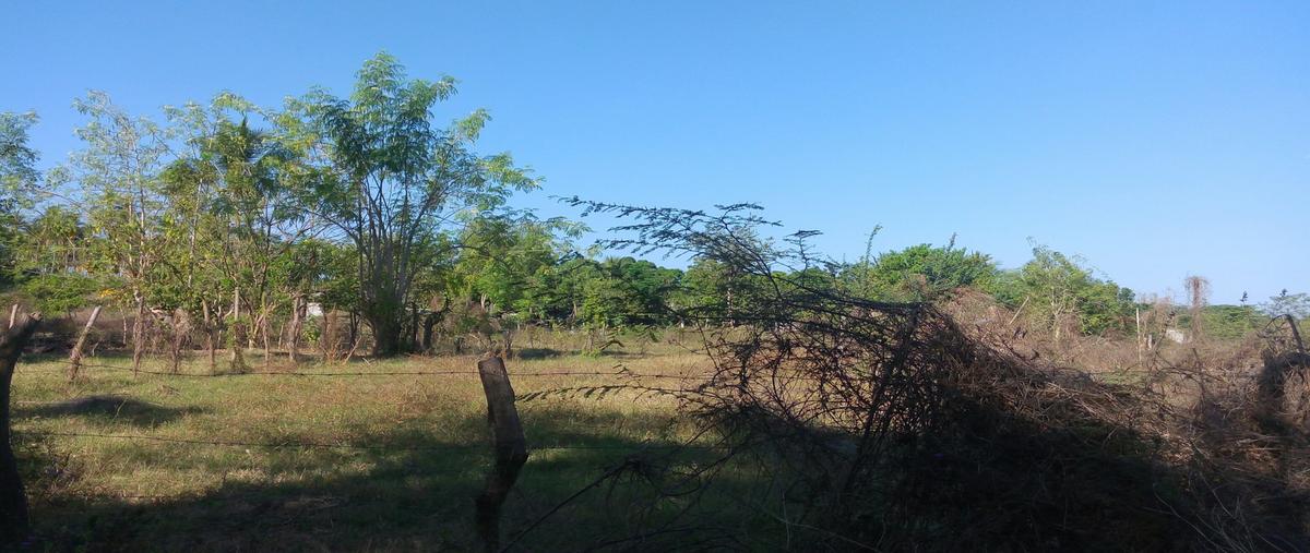 Foto de terreno habitacional en venta en  , el pedregoso, acapulco de juárez, guerrero, 11009918 No. 03