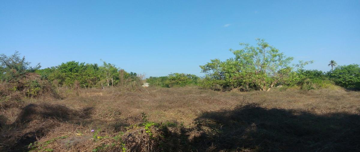 Foto de terreno habitacional en venta en el pedregoso, acapulco de juárez, guerrero , el pedregoso, acapulco de juárez, guerrero, 11009918 No. 02