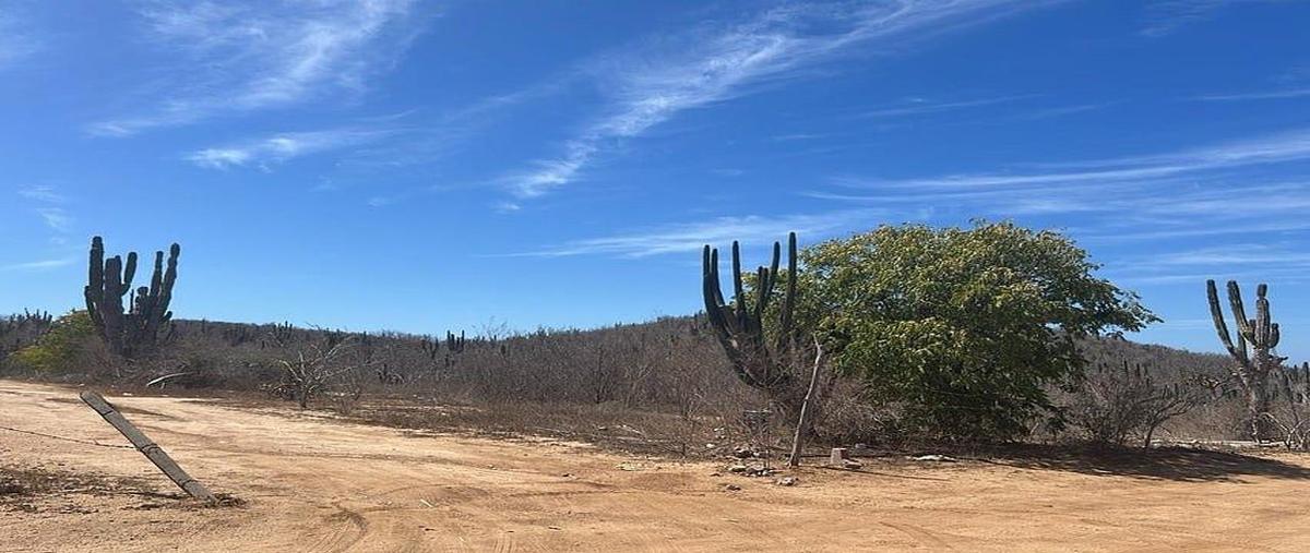 Foto de terreno habitacional en venta en el pedregoso , colinas de cabo baja, los cabos, baja california sur, 0 No. 03
