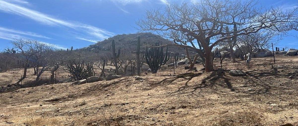 Foto de terreno habitacional en venta en el pedregoso , colinas de cabo baja, los cabos, baja california sur, 0 No. 05