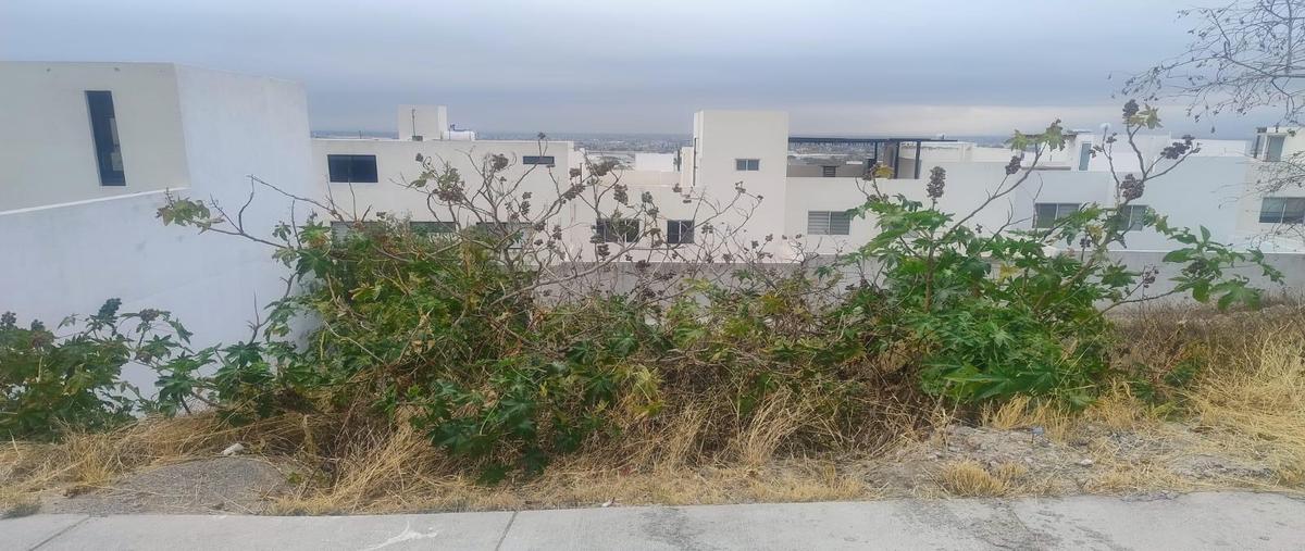 Foto de terreno habitacional en venta en  , el peñón, san luis potosí, san luis potosí, 0 No. 05