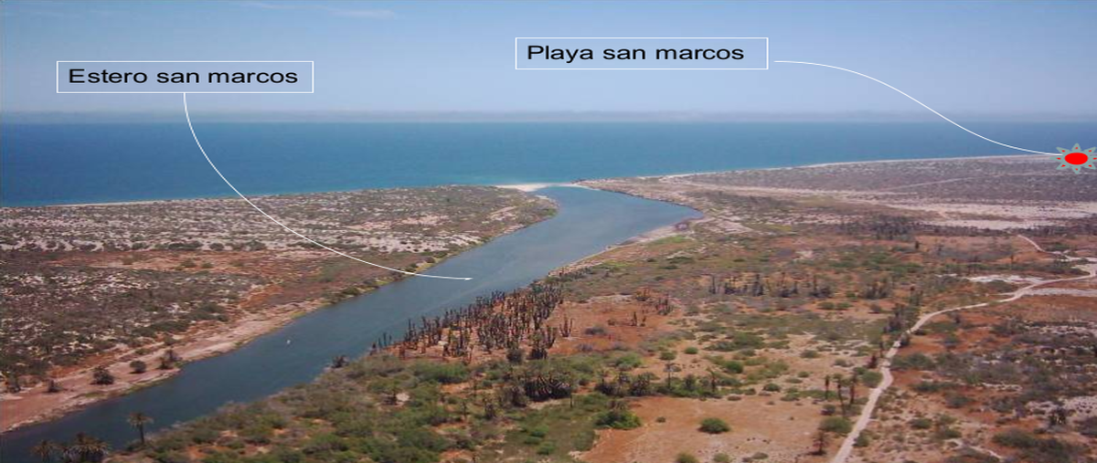 Foto de terreno habitacional en , el perdido, mulegé, baja california sur, 24816397 foto 03 Foto de terreno habitacional en venta en , el perdido, mulegé, baja california sur, 24816397 No. 03