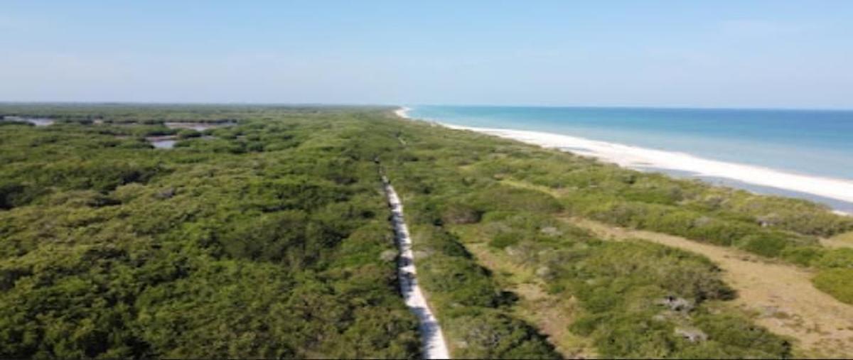 Foto de terreno habitacional en venta en el perdon , sisal, hunucmá, yucatán, 0 No. 04