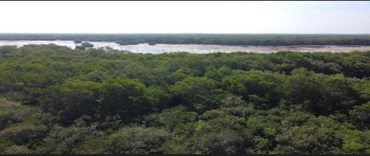Foto de terreno habitacional en venta en el perdon , sisal, hunucmá, yucatán, 0 No. 05