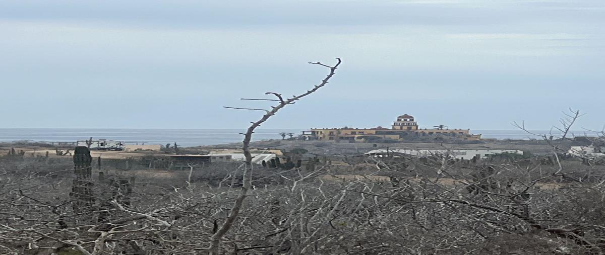 Foto de terreno habitacional en venta en  , el pescadero, la paz, baja california sur, 25098543 No. 01