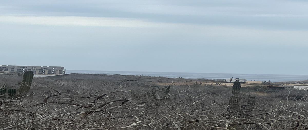 Foto de terreno habitacional en venta en  , el pescadero, la paz, baja california sur, 25098543 No. 02