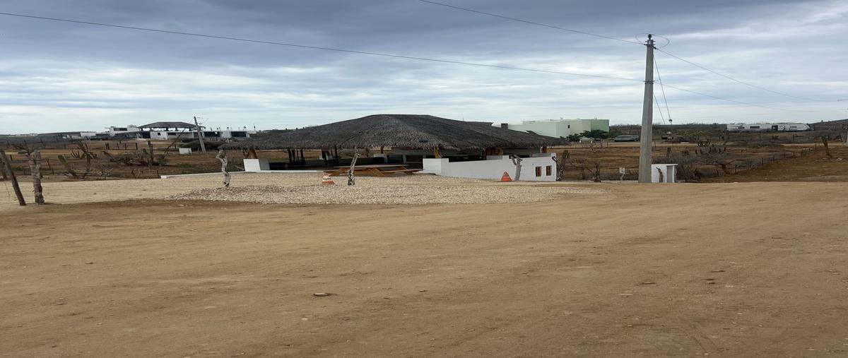 Foto de terreno habitacional en venta en  , el pescadero, la paz, baja california sur, 25098543 No. 04
