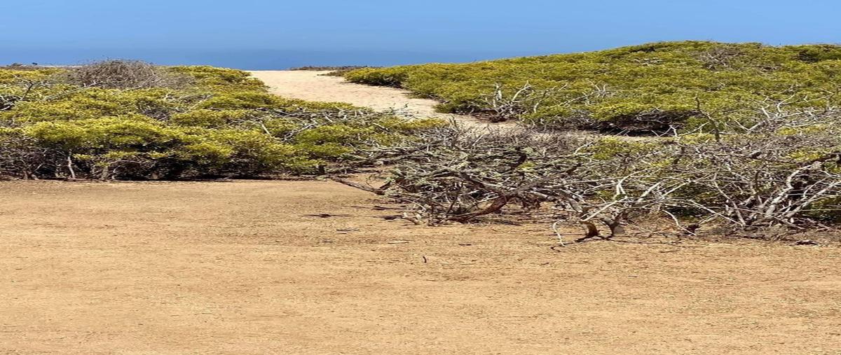 Foto de terreno habitacional en , el pescadero, la paz, baja california sur, 0 foto 03 Foto de terreno habitacional en venta en , el pescadero, la paz, baja california sur, 0 No. 03