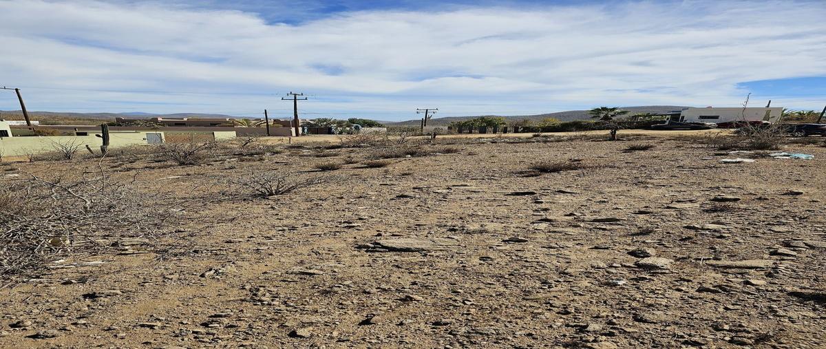 Foto de terreno habitacional en venta en  , el pescadero, la paz, baja california sur, 0 No. 04