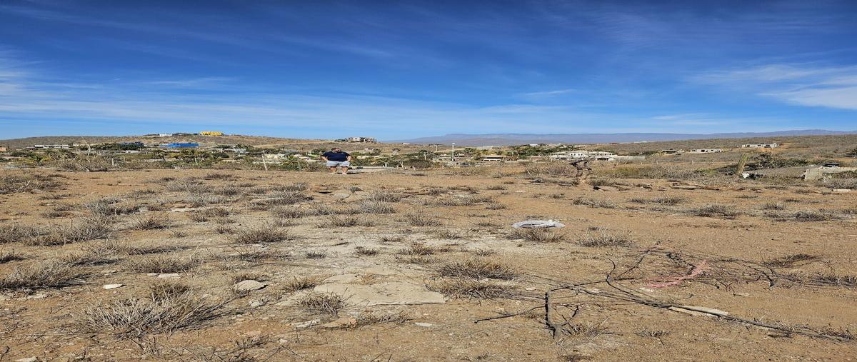 Foto de terreno habitacional en venta en  , el pescadero, la paz, baja california sur, 0 No. 05
