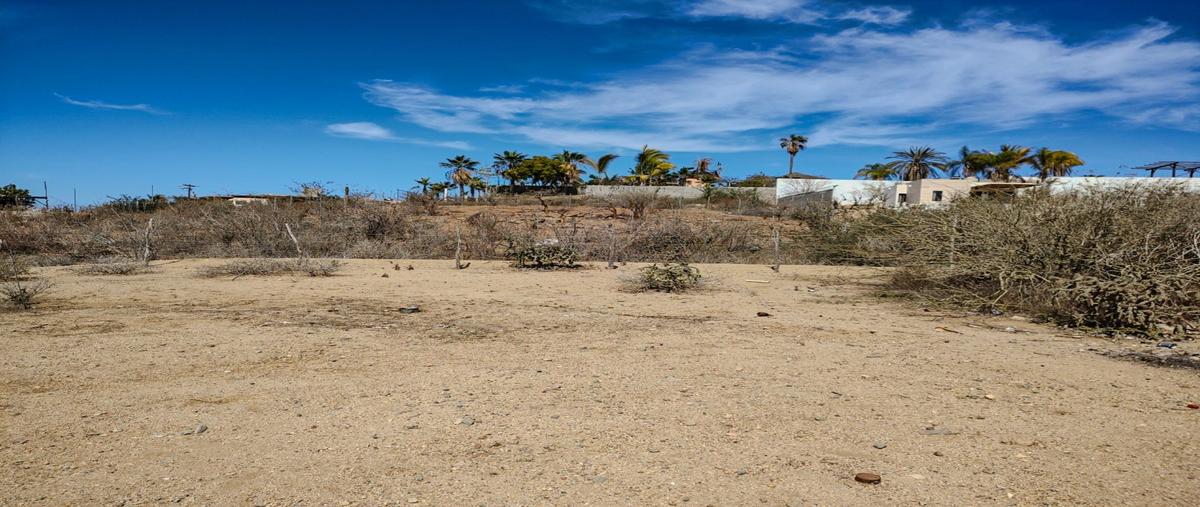 Foto de terreno habitacional en venta en  , el pescadero, la paz, baja california sur, 29732692 No. 05