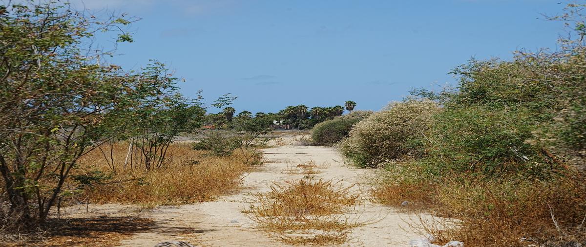 Foto de departamento en venta en  , el pescadero, la paz, baja california sur, 0 No. 04