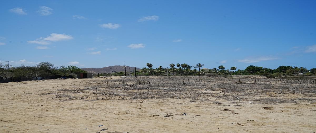 Foto de departamento en venta en  , el pescadero, la paz, baja california sur, 0 No. 05