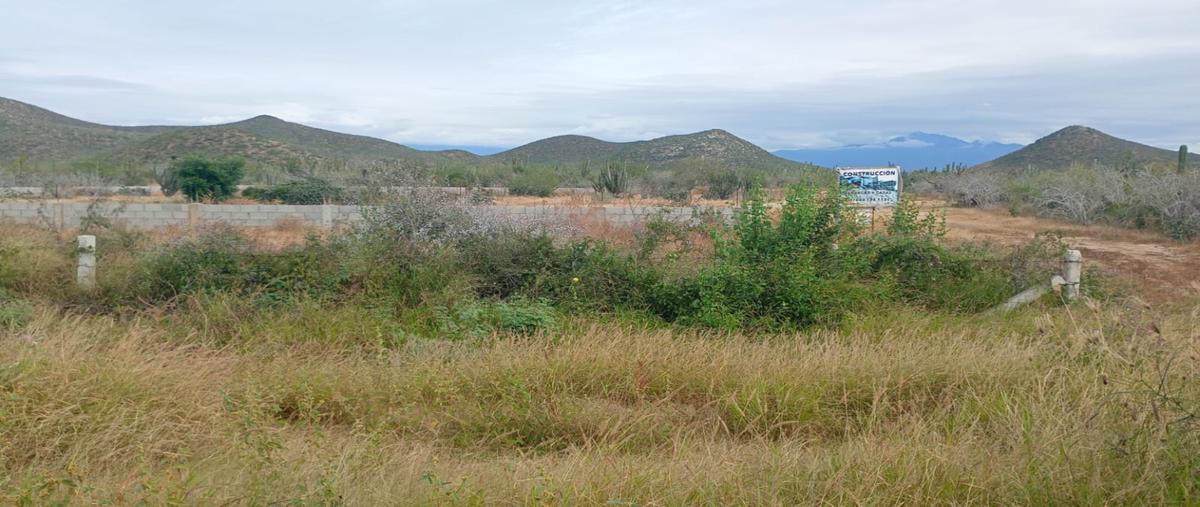 Foto de terreno habitacional en venta en  , el pescadero, la paz, baja california sur, 0 No. 04