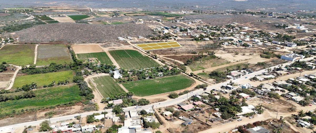Foto de terreno habitacional en venta en  , el pescadero, la paz, baja california sur, 0 No. 03