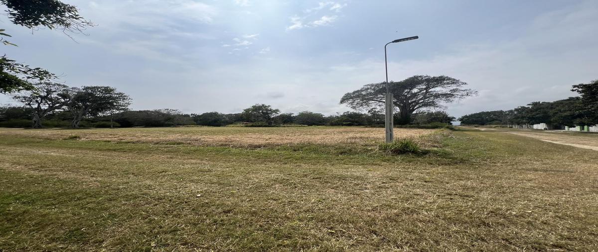 Foto de terreno habitacional en , el pichijumo, aldama, tamaulipas, 0 foto 03 Foto de terreno habitacional en venta en , el pichijumo, aldama, tamaulipas, 0 No. 03