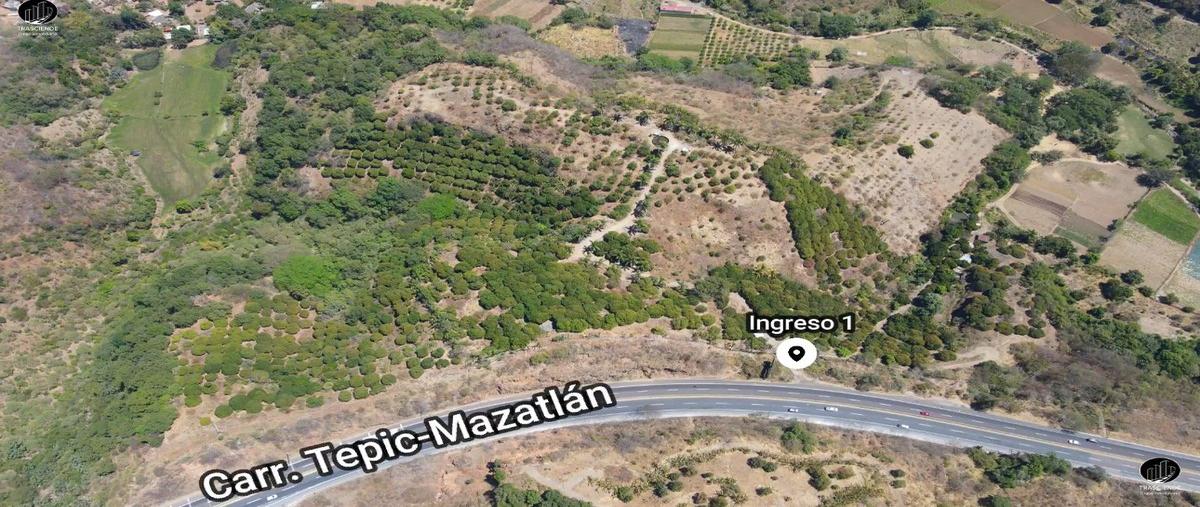 Foto de terreno habitacional en venta en  , el pichón, tepic, nayarit, 0 No. 04