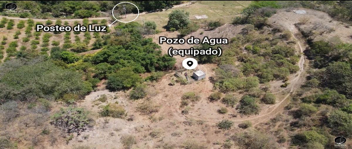 Foto de terreno habitacional en venta en  , el pichón, tepic, nayarit, 0 No. 05